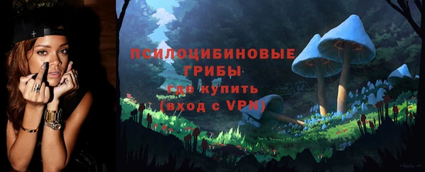 СК Горнозаводск