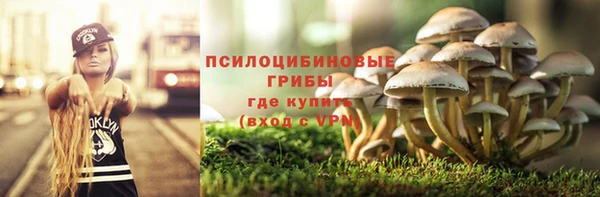 амф Куйбышев