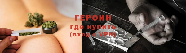 сатива Горняк