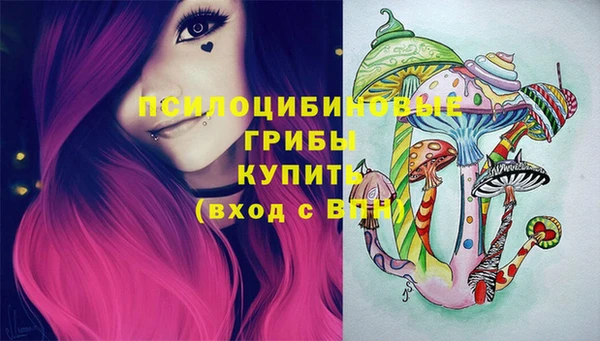гидропоника Кулебаки