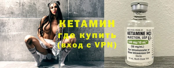 сатива Горняк